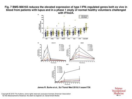 Fig. 7 BMS-986165 reduces the elevated expression of type I IFN–regulated genes both ex vivo in blood from patients with lupus and in a phase 1 study of.