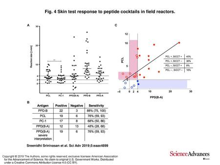 Fig. 4 Skin test response to peptide cocktails in field reactors.