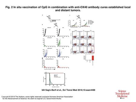 Fig. 2 In situ vaccination of CpG in combination with anti-OX40 antibody cures established local and distant tumors. In situ vaccination of CpG in combination.