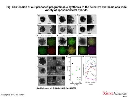 Fig. 3 Extension of our proposed programmable synthesis to the selective synthesis of a wide variety of liposome/metal hybrids. Extension of our proposed.