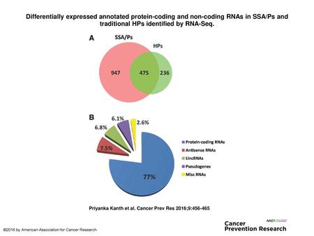 Differentially expressed annotated protein-coding and non-coding RNAs in SSA/Ps and traditional HPs identified by RNA-Seq. Differentially expressed annotated.