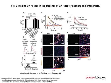 Fig. 3 Imaging DA release in the presence of DA receptor agonists and antagonists. Imaging DA release in the presence of DA receptor agonists and antagonists.