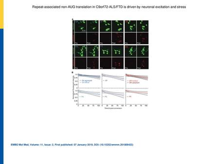 Repeat‐associated non‐AUG translation in C9orf72‐ALS/FTD is driven by neuronal excitation and stress AThe Dendra2 tag in the C9orf72 NRE non‐AUG‐dependent.