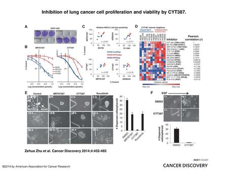 Inhibition of lung cancer cell proliferation and viability by CYT387.