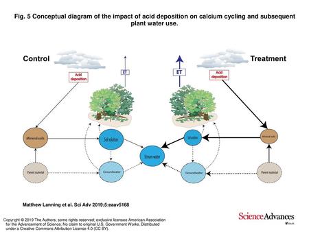 Fig. 5 Conceptual diagram of the impact of acid deposition on calcium cycling and subsequent plant water use. Conceptual diagram of the impact of acid.