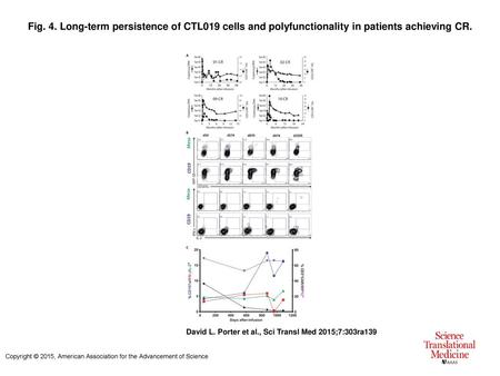 Fig. 4. Long-term persistence of CTL019 cells and polyfunctionality in patients achieving CR. Long-term persistence of CTL019 cells and polyfunctionality.