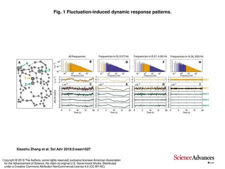 Fig. 1 Fluctuation-induced dynamic response patterns.