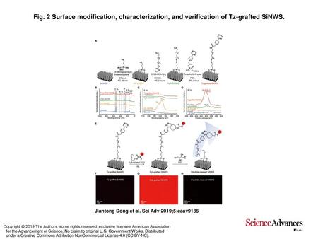 Fig. 2 Surface modification, characterization, and verification of Tz-grafted SiNWS. Surface modification, characterization, and verification of Tz-grafted.