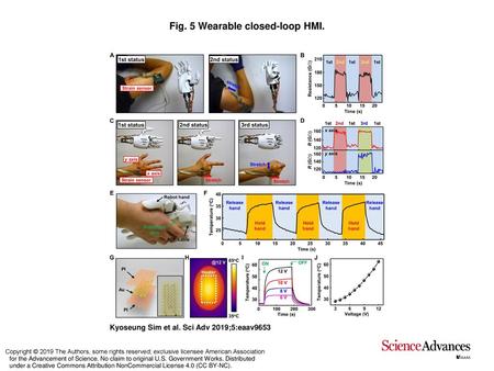 Fig. 5 Wearable closed-loop HMI.