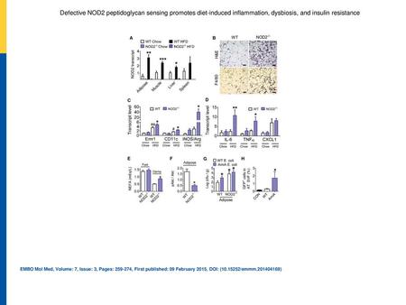 Defective NOD2 peptidoglycan sensing promotes diet‐induced inflammation, dysbiosis, and insulin resistance ATranscript levels of NOD2 in various tissues.