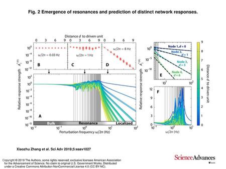 Emergence of resonances and prediction of distinct network responses