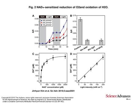 Fig. 2 NAD+-sensitized reduction of O2and oxidation of H2O.