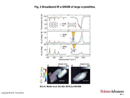 Fig. 2 Broadband IR s-SNOM of large crystallites.