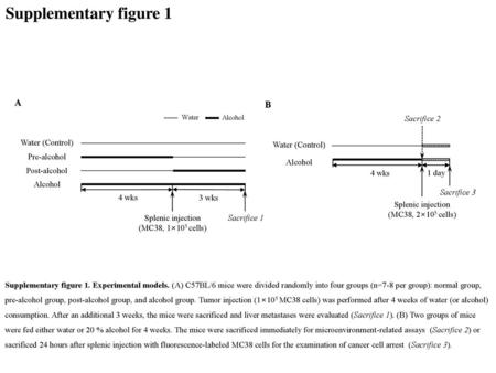 Supplementary figure 1 A B Water (Control) Pre-alcohol Post-alcohol