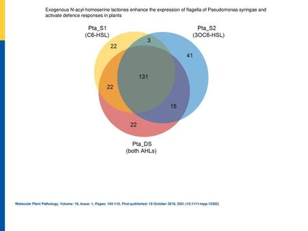 Exogenous N‐acyl‐homoserine lactones enhance the expression of flagella of Pseudomonas syringae and activate defence responses in plants Comparisons of.