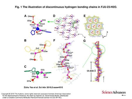 Fig. 1 The illustration of discontinuous hydrogen bonding chains in FJU-23-H2O. The illustration of discontinuous hydrogen bonding chains in FJU-23-H2O.