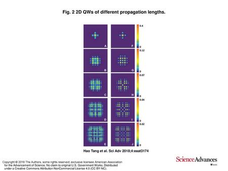 Fig. 2 2D QWs of different propagation lengths.