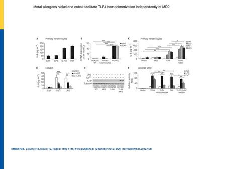 Co2+ mediates its proinflammatory effects via TLR4