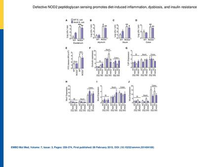 Defective NOD2 peptidoglycan sensing promotes diet‐induced inflammation, dysbiosis, and insulin resistance A–DThe number of ampicillin‐resistant E. coli.