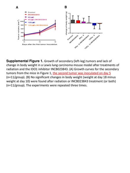 A B Supplemental Figure 1. Growth of secondary (left-leg) tumors and lack of change in body weight in a Lewis lung carcinoma mouse model after treatments.