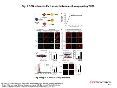 Fig. 2 ODN enhances EV transfer between cells expressing TLR9.