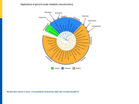 Applications of genome‐scale metabolic reconstructions