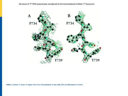 Representative electron density maps