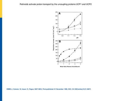 Retinoids activate proton transport by the uncoupling proteins UCP1 and UCP2 (A) pH dependency of the state 4 respiratory rate: control ▵ and UCP2 mitochondria.