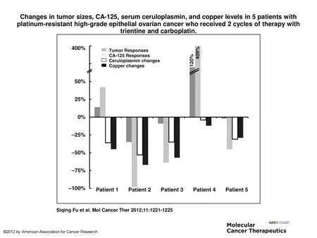 Changes in tumor sizes, CA-125, serum ceruloplasmin, and copper levels in 5 patients with platinum-resistant high-grade epithelial ovarian cancer who received.