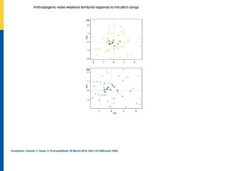 Anthropogenic noise weakens territorial response to intruder's songs