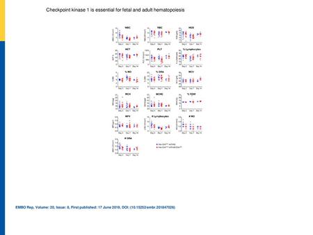 Checkpoint kinase 1 is essential for fetal and adult hematopoiesis