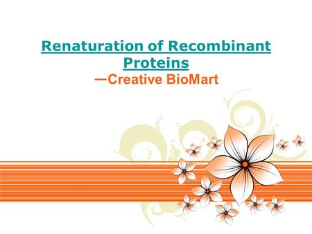 Page 1 Renaturation of Recombinant Proteins — Creative BioMart.