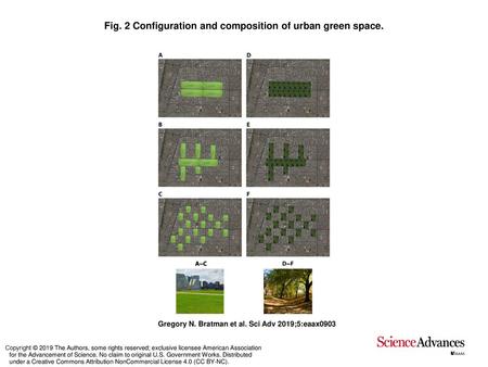 Fig. 2 Configuration and composition of urban green space.