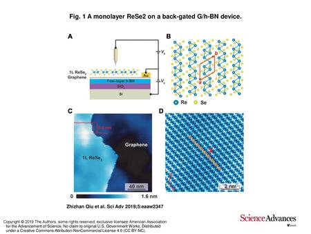 Fig. 1 A monolayer ReSe2 on a back-gated G/h-BN device.