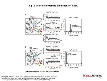 Fig. 5 Molecular dynamics simulations of Rac1.