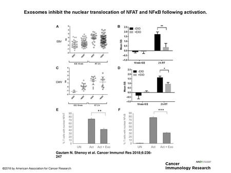 Exosomes inhibit the nuclear translocation of NFAT and NFκB following activation. Exosomes inhibit the nuclear translocation of NFAT and NFκB following.