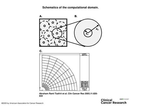 Schematics of the computational domain.