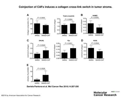 Coinjection of CAFs induces a collagen cross-link switch in tumor stroma. Coinjection of CAFs induces a collagen cross-link switch in tumor stroma. A,