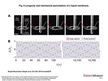 Fig. 6 Longevity and mechanical perturbation of a liquid membrane.