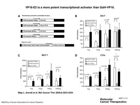 VP16-E2 is a more potent transcriptional activator than Gal4-VP16.