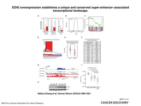 EZH2 overexpression establishes a unique and conserved super-enhancer–associated transcriptional landscape. EZH2 overexpression establishes a unique and.