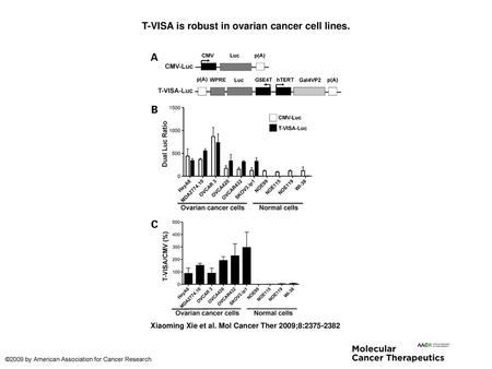 T-VISA is robust in ovarian cancer cell lines.