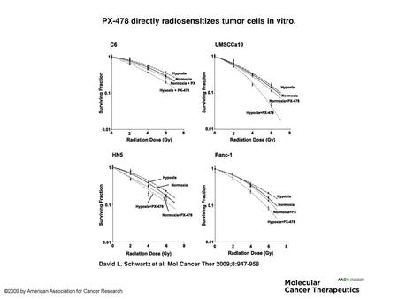 PX-478 directly radiosensitizes tumor cells in vitro.