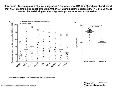 Leukemic blasts express a “hypoxia signature