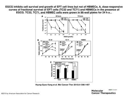 EGCG inhibits cell survival and growth of EFT cell lines but not of HBMECs. A, dose-responsive curves of fractional survival of EFT cells (TC32 and TC71)