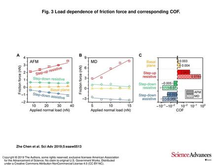 Fig. 3 Load dependence of friction force and corresponding COF.