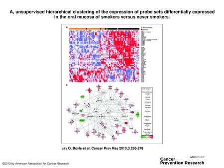 A, unsupervised hierarchical clustering of the expression of probe sets differentially expressed in the oral mucosa of smokers versus never smokers. A,