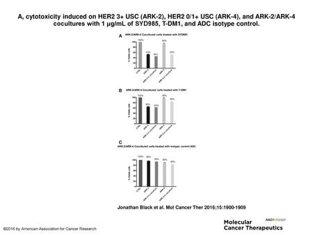 A, cytotoxicity induced on HER2 3+ USC (ARK-2), HER2 0/1+ USC (ARK-4), and ARK-2/ARK-4 cocultures with 1 μg/mL of SYD985, T-DM1, and ADC isotype control.