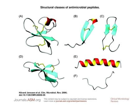 Structural classes of antimicrobial peptides.