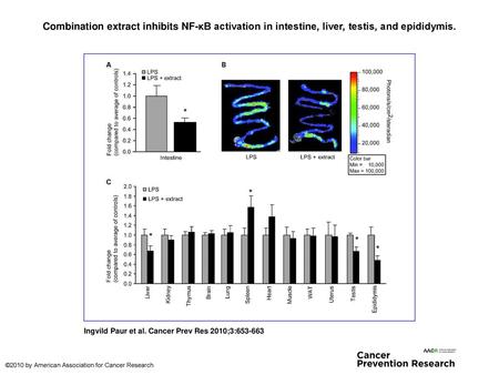 Combination extract inhibits NF-κB activation in intestine, liver, testis, and epididymis. Combination extract inhibits NF-κB activation in intestine,